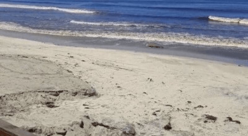 Se redoblaron los esfuerzos por parte del personal de la Delegación Municipal de Playas de Tijuana