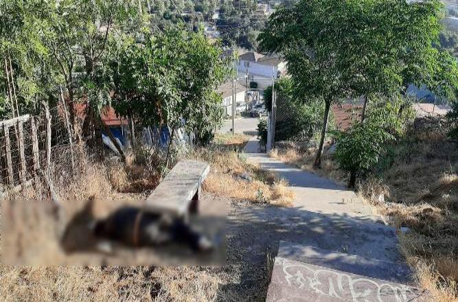 Asesinan a un hombre en la colonia Rinconada de Tecate Asesinan a un hombre en la colonia Rinconada de Tecate