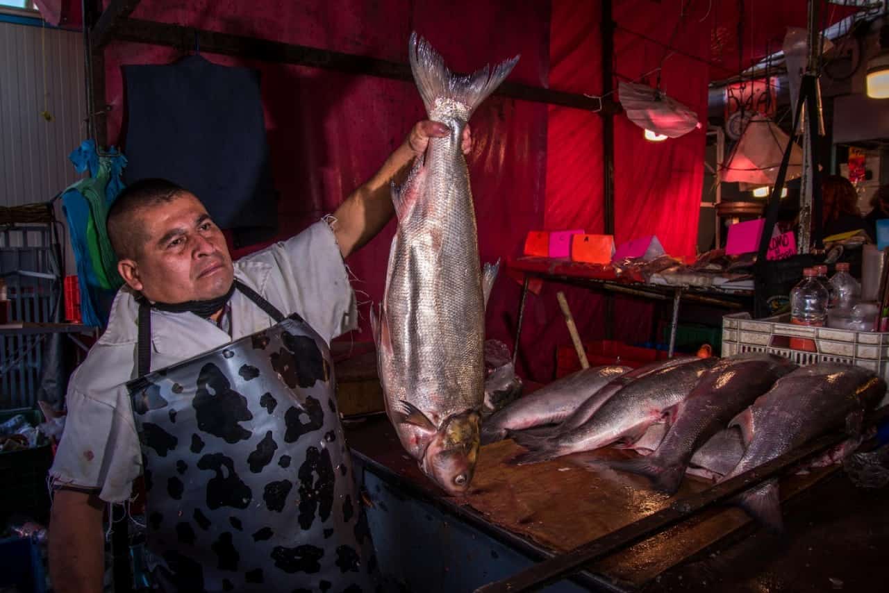 Lista la Nueva Viga para atender mayor demanda de pescados y mariscos por Semana Santa