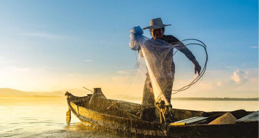 Producción pesquera: estados más productivos y cuánto cuesta vivir ahí