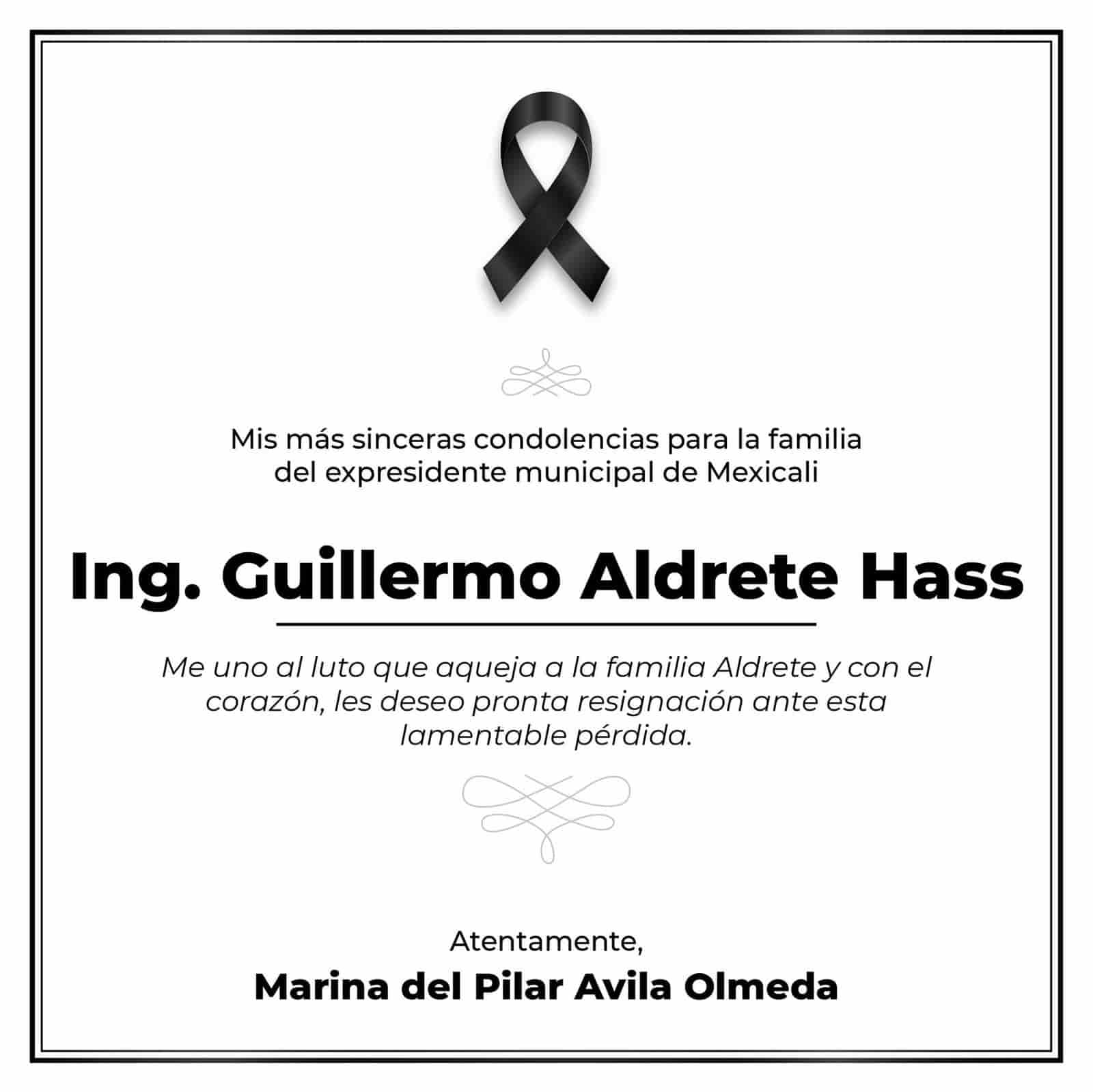 Ing.Guillermo Aldrete Hass