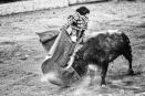 Aprueban en comisiones prohibir corridas de toros en CDMX