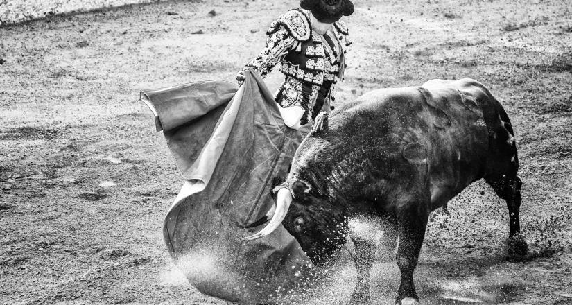 Aprueban en comisiones prohibir corridas de toros en CDMX Aprueban en comisiones prohibir corridas de toros en CDMX