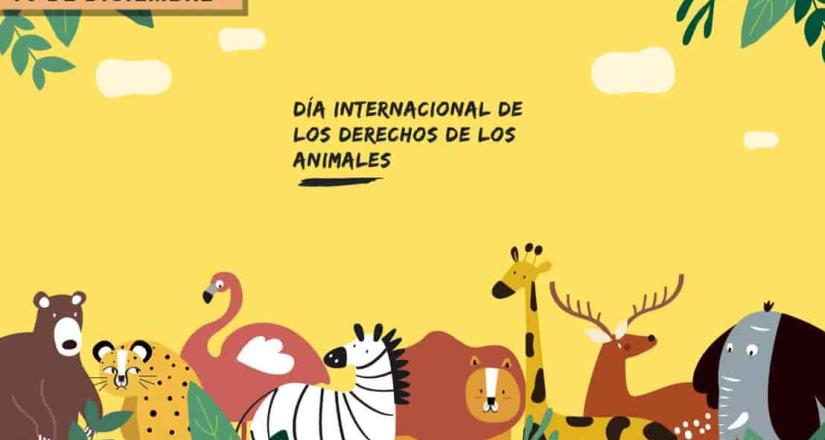 Documentales para concientizar sobre el Día Internacional de los Derechos de los Animales