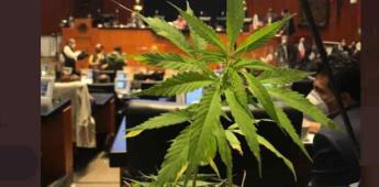 Ley de Cannabis se debatirá en febrero: Miguel Ángel Mancera