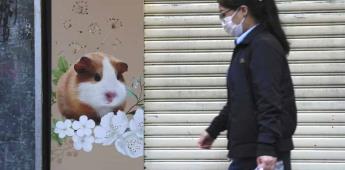 Investigan en Hong Kong el contagio de covid por hámsters importados de Europa