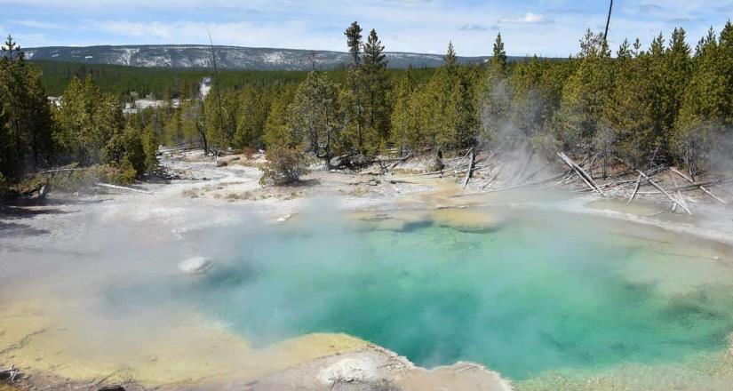 Encuentran restos humanos en aguas termales del parque Yellowstone de EEUU