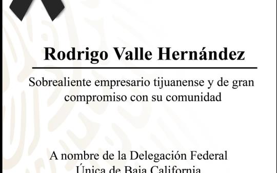 Rodrigo Valle Hernández