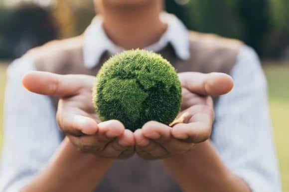 ¡Alerta Verde! Urgen medidas para salvar nuestra biodiversidad: Sociedad de Arquitectos Paisajistas