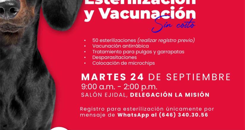 Invita Gobierno de Ensenada a jornada gratuita de esterilización en La Misión