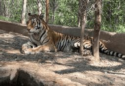 Esta mañana John se intensificó a huracán de categoría 1