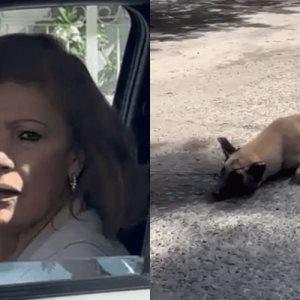 Mujer arrastra a perrito con su camioneta porque se la dañó