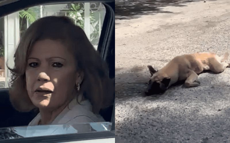 Mujer arrastra a perrito con su camioneta porque se la dañó