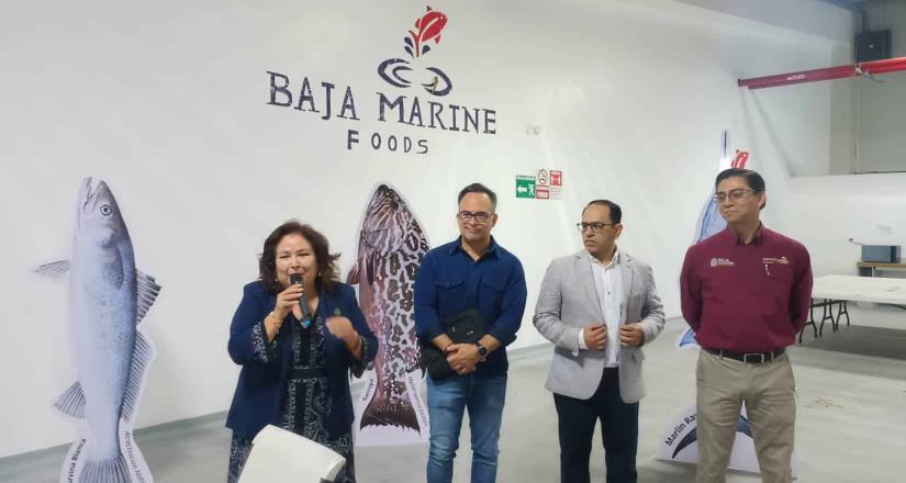 Promueve la SEPESCA BC taller sobre inteligencia de mercados