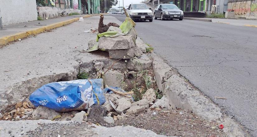 Delfina, un año de pésimos resultados.