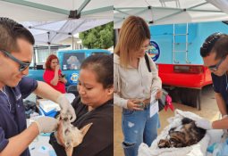 Más 2 mil 200 kilos de basura recolectados en playa del programa Ensenada en Armonía con el Mar