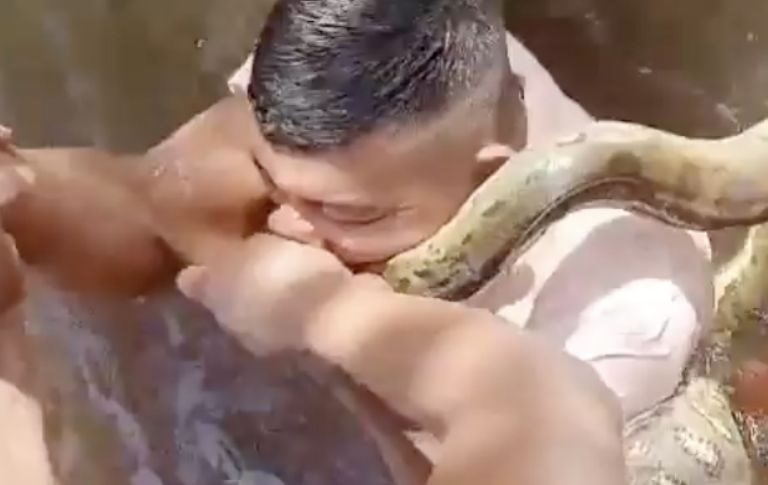 Hombre fue atacado por una anaconda en Brasil y se logra salvar