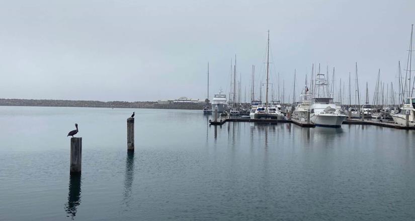 Se prevén cielos parcialmente nublados con tardes soleadas para la zona urbana de Ensenada