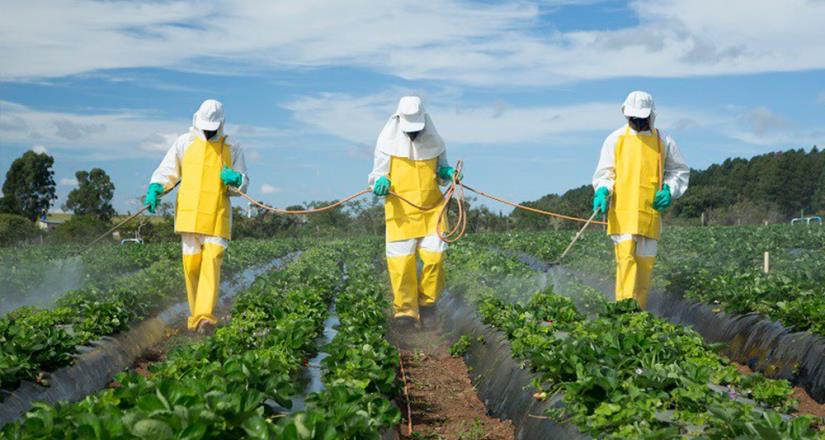 De los agroquímicos y plaguicidas a los fitosanitarios: una evolución responsable e imprescindible