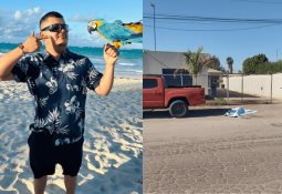 Patrulla choca con dos tráilers en el bulevar Alberto Limón Padilla Patrulla choca con dos tráilers en el bulevar Alberto Limón Padilla