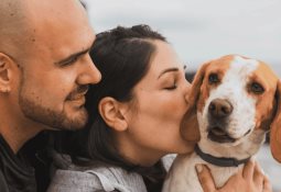 MG Motor México lanza ofertas increíbles por su 4to aniversario en México