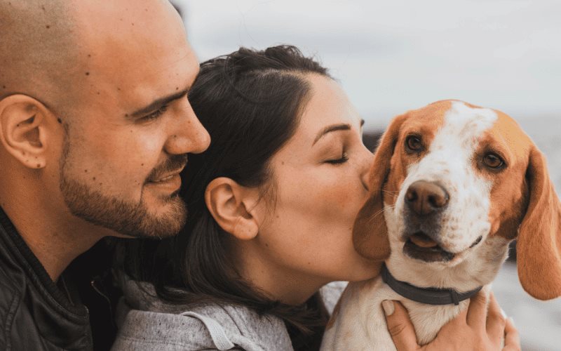 Creditea, el mejor amigo de tus pequeñas-grandes mascotas