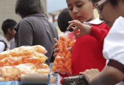 Establece Agricultura medidas preventivas para disminuir riesgo de ingreso y dispersión del gusano barrenador en ganado