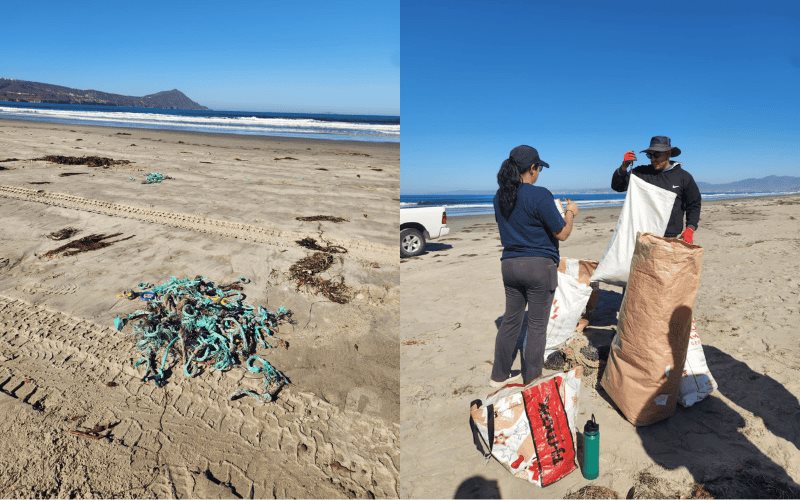 Recolectan más de 100 kg de basura en lengüeta arenosa