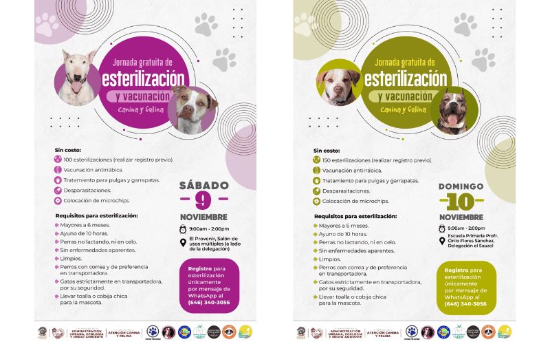 Invita Gobierno de Ensenada a campaña de esterilización de mascotas