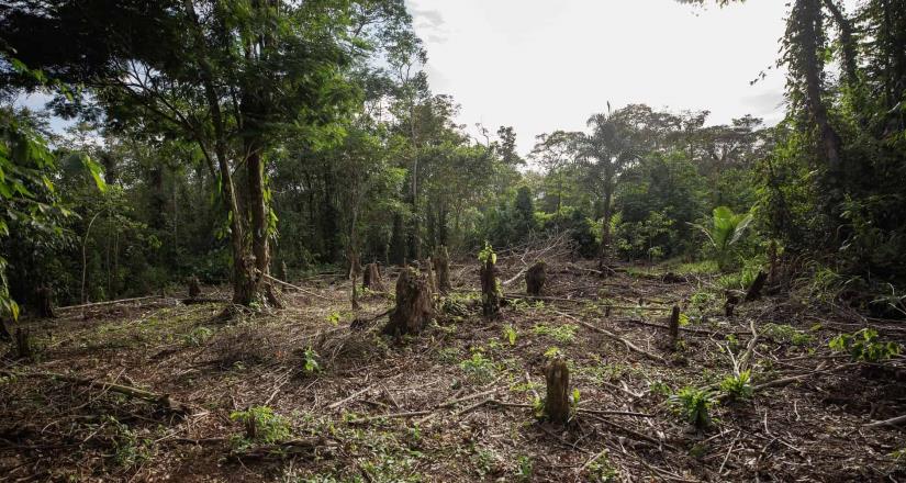 La Secretaría de Agricultura anuncia la Estrategia Nacional de Transición Agroecológica 2024-2030