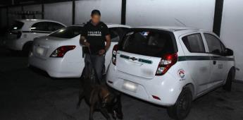 Cateo a Sindicato de Taxistas en Cancún encuentra cuarto de tortura