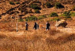 Fuerte incendio en Cañón De Las Palmas deja daños hasta en cinco casas