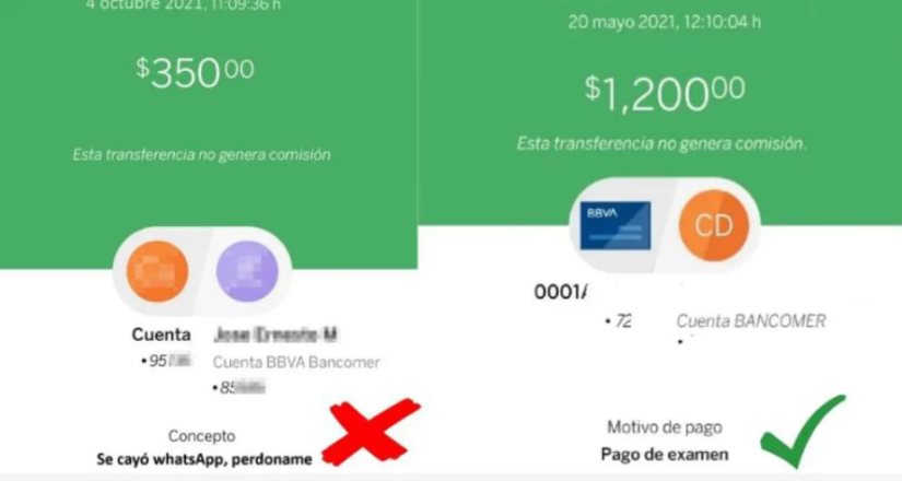 ¿Qué conceptos de pago es mejor evitar al hacer una transferencia? Te lo explicamos aquí