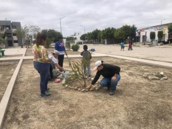 Promueve Hagamos Conciencia A.C. reforestación y recuperación de espacios en BC