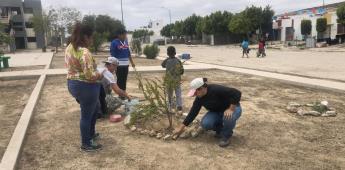 Promueve Hagamos Conciencia A.C. reforestación y recuperación de espacios en BC