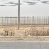 Neblina en Tijuana provocó cancelación en vuelos en el aeropuerto