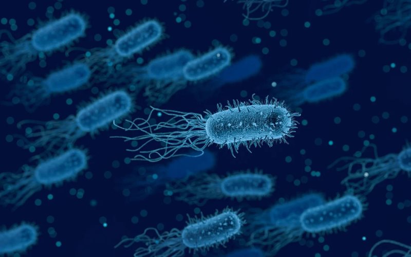 Brote de Klebsiella oxytoca bajo control en el Edomex