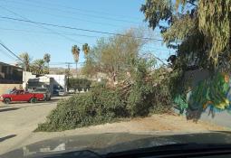 Clausura Gobierno de Ensenada centro de reciclaje en Maneadero parte alta