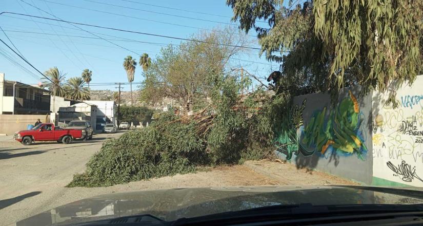 Sin incidentes mayores por condición Santa Ana