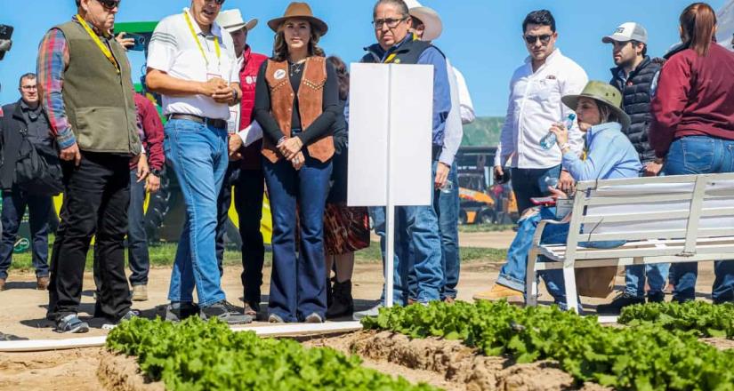 Consolida gobierno de Marina del Pilar liderazgo en la producción agrícola nacional