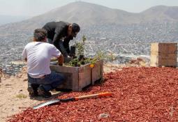 Celebrará Gobierno de Ensenada bodas colectivas por 1 peso