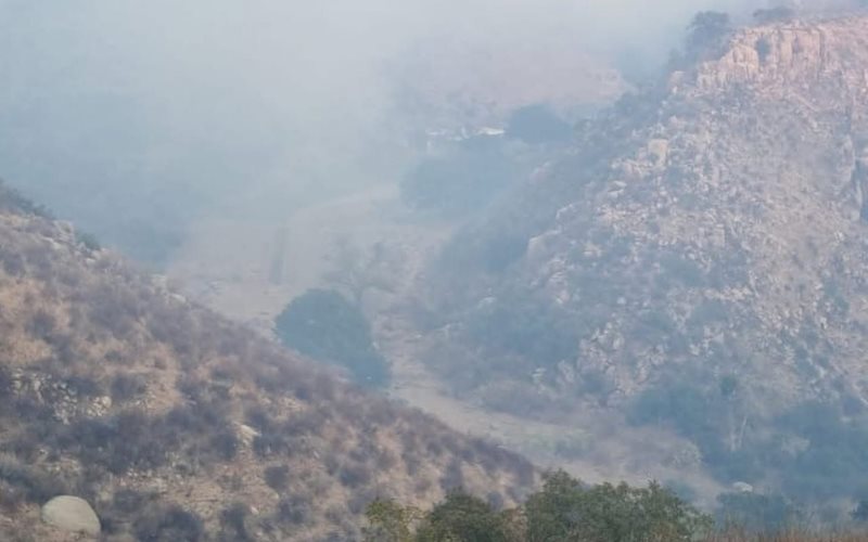 Más de 300 hectáreas consumidas en incendio forestal en el Km. 17 de la carretera Ensenada-Ojos Negros