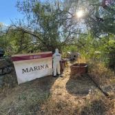 Localizan e inhabilitan bodega y laboratorio clandestino, en el municipio de Álamos, Sonora