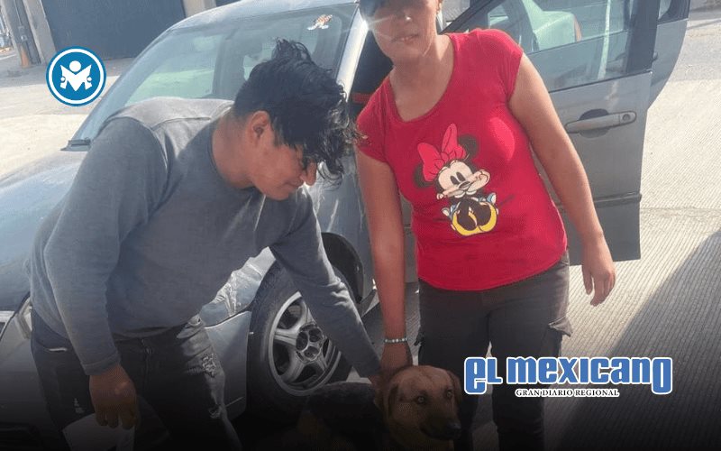 Promueve Gobierno de Ensenada adopción de mascotas