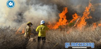 Gobierno de Baja California ha atendido incendios forestales