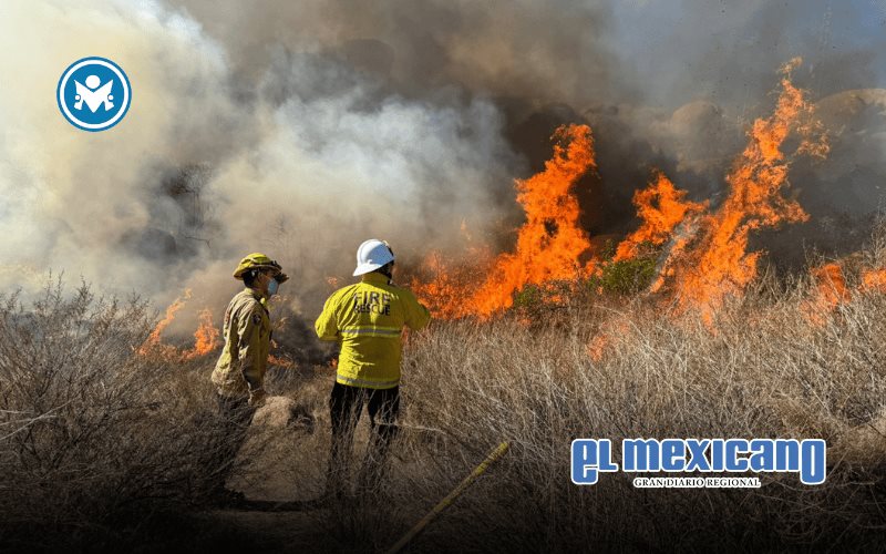 Gobierno de Baja California ha atendido incendios forestales