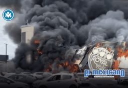 En acciones simultáneas, fueron detenidas nueve personas en el Estado de México en posesión de hidrocarburo, drogas y un arma